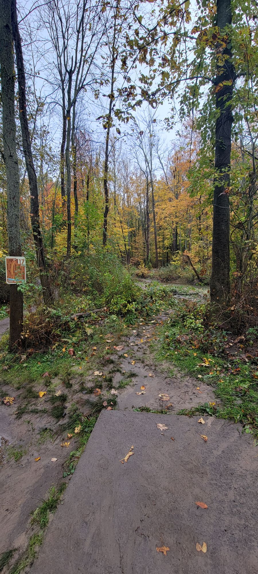 Hole 17