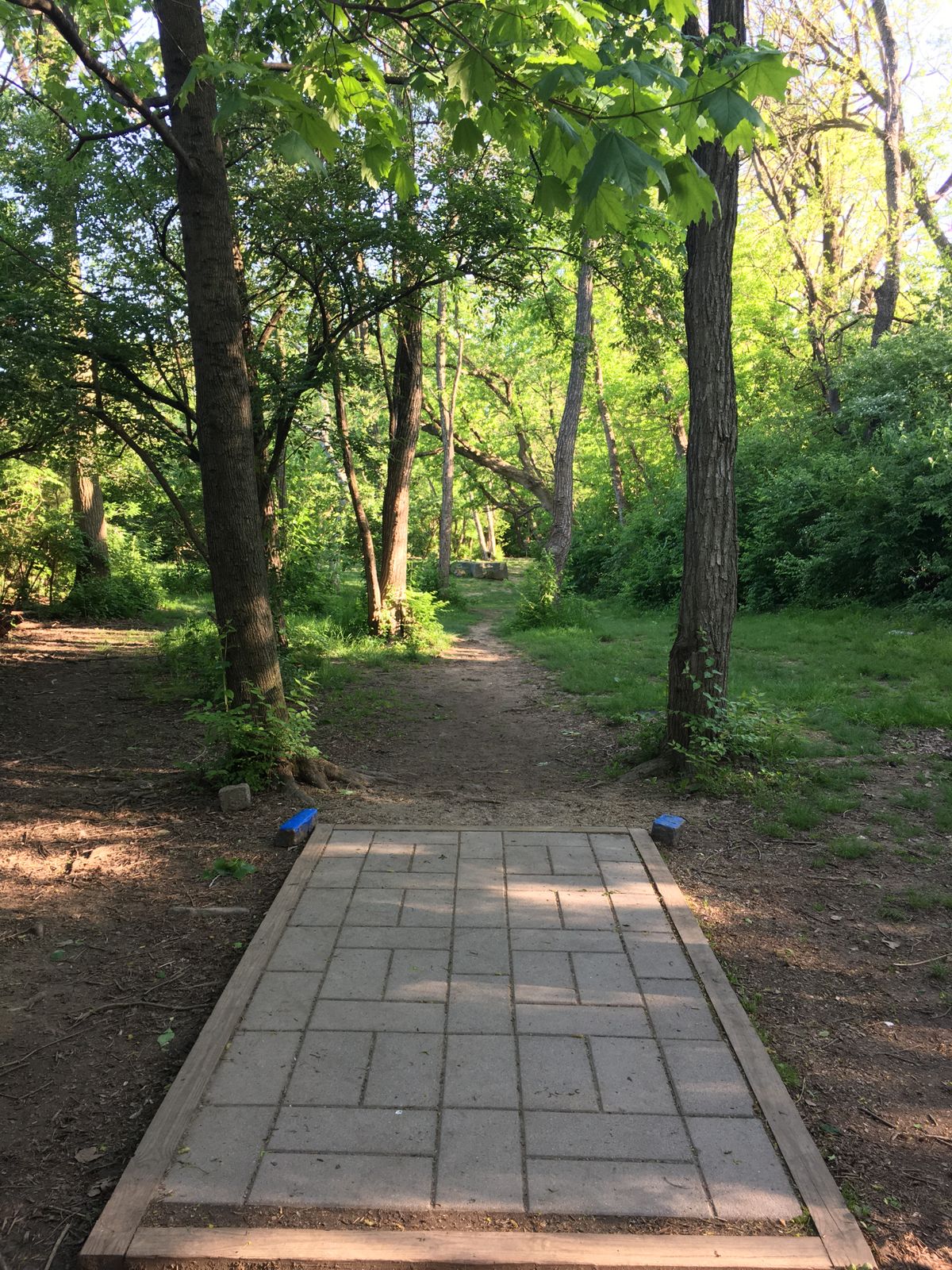 Blue tee - hole 27