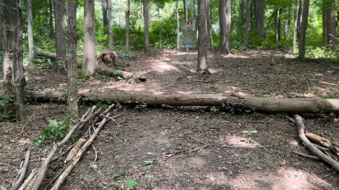 Hole 4 green