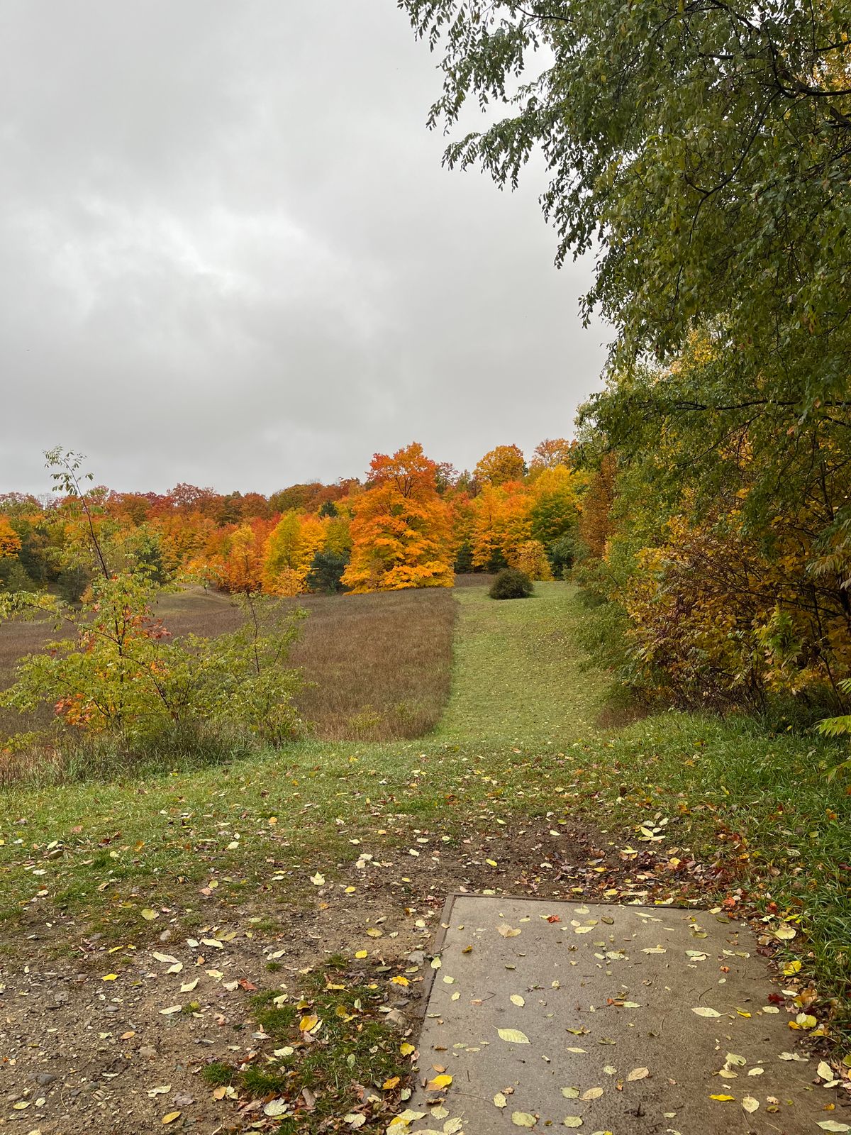 Hole 1
