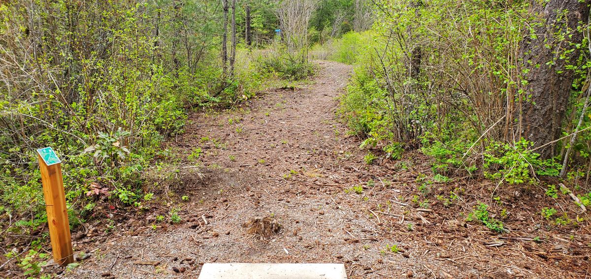Tee Pad 5