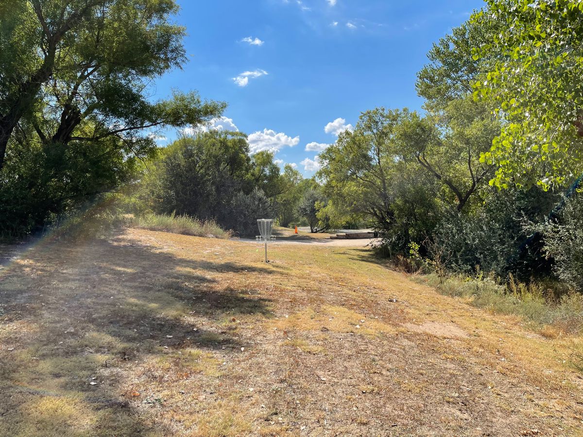 Interesting green on hole 5. Reachable from both teepads with the right line, but beware of the water on the right, and the road long.