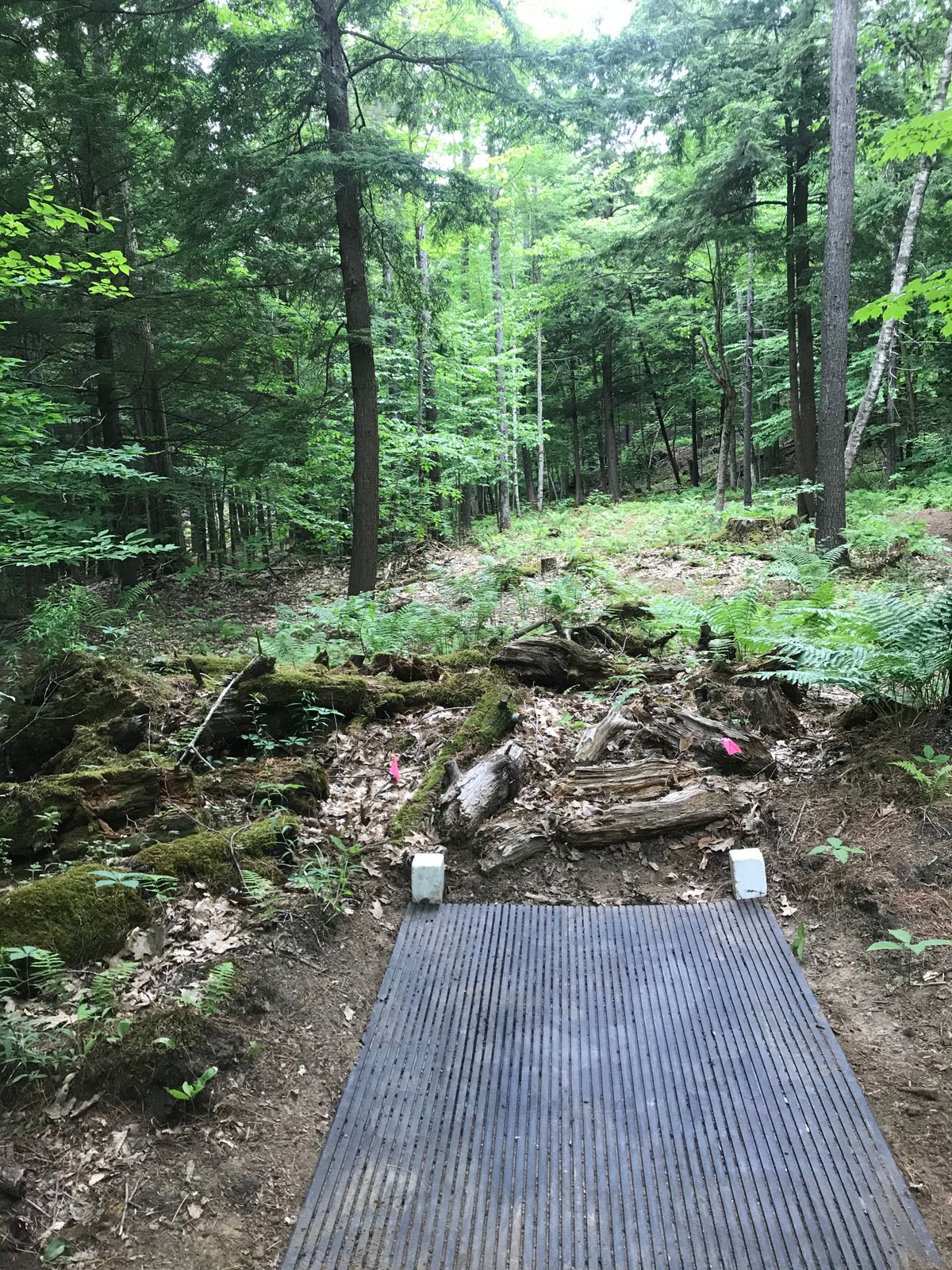Hole 1 new rubber tee