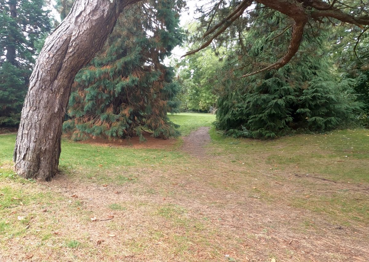 Tee and narrow gap of Hole 6.