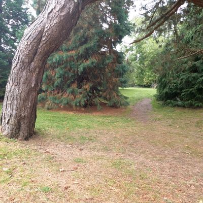 Tee and narrow gap of Hole 6.