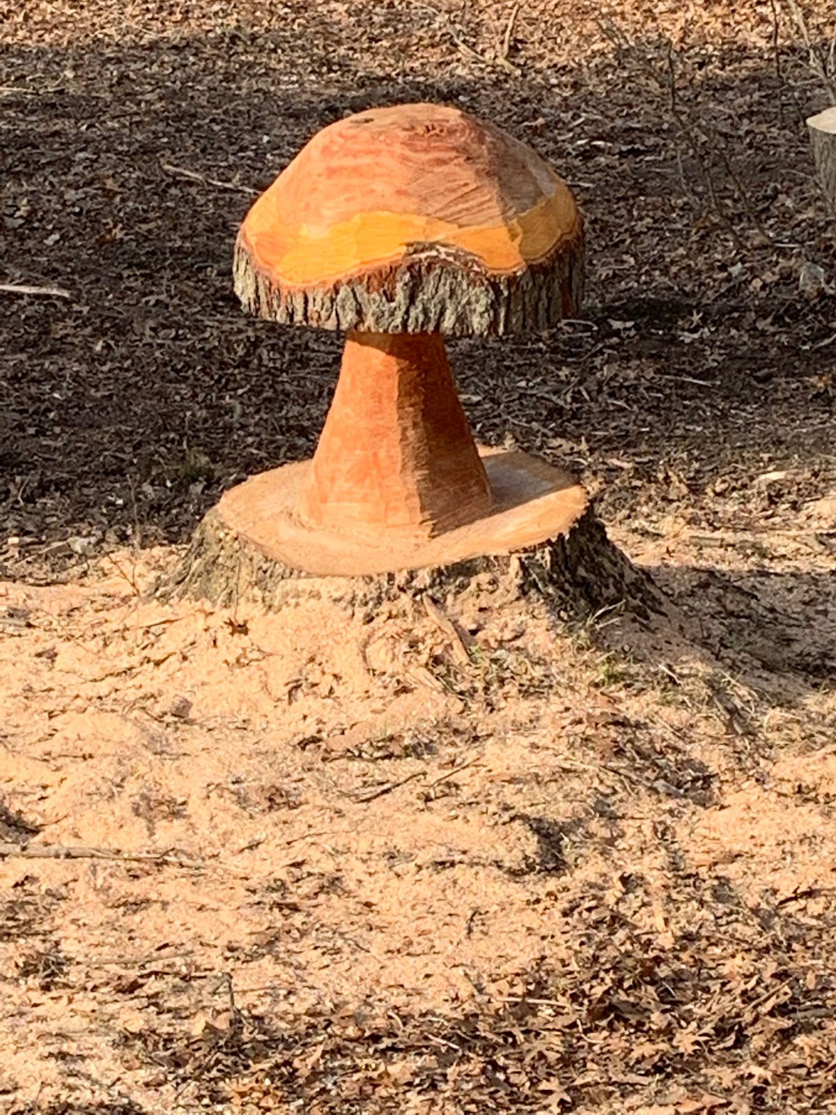 New as of 3/20/23! Cool design metro park tree cutting team!