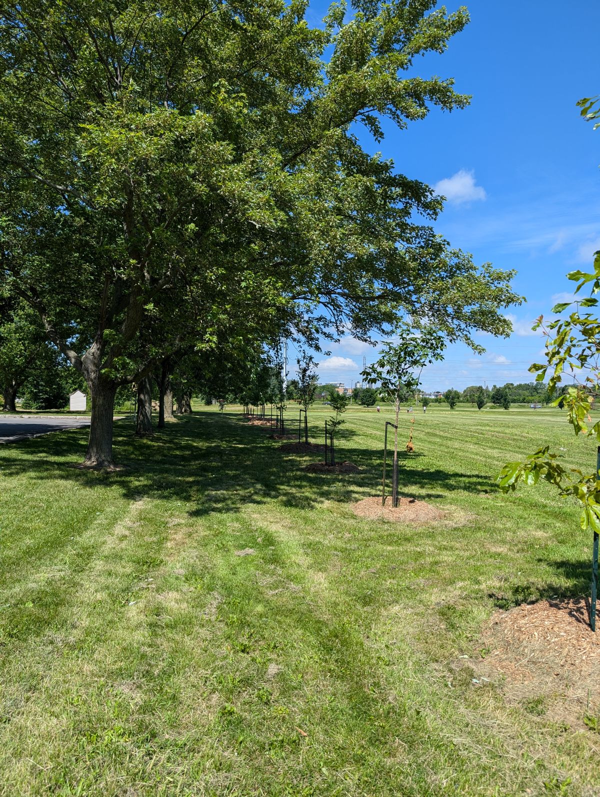 Basket hole 8 and 12 alternate layout