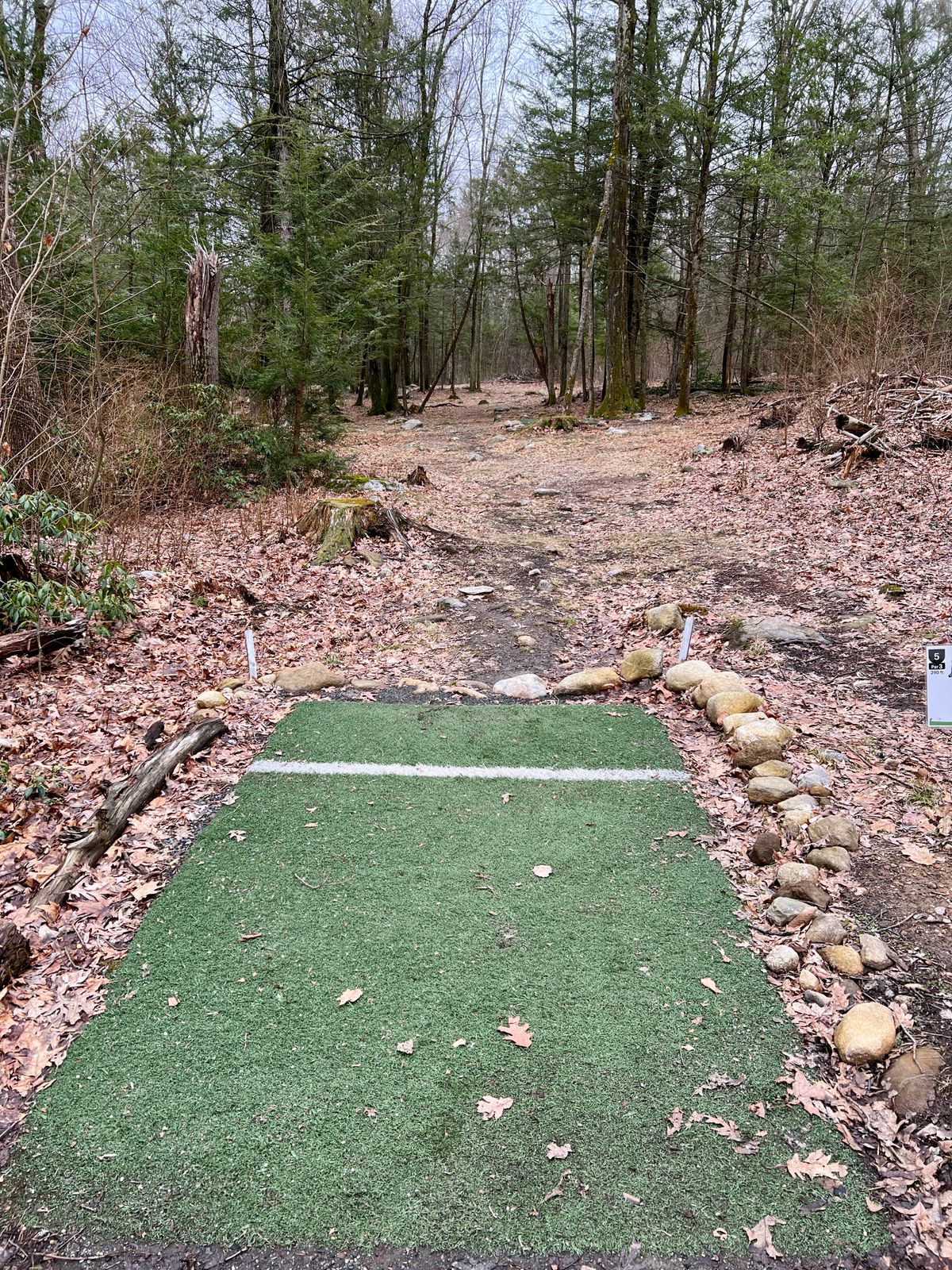 Hole #5 Tee box