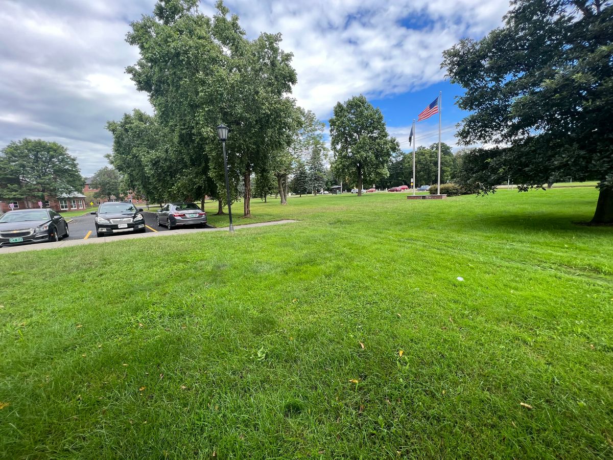 Hole 7 tee pad