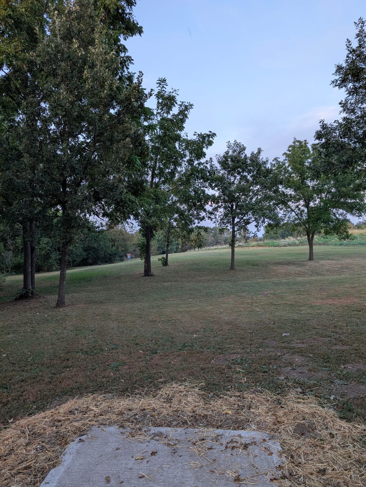 Hole #2 tee pad