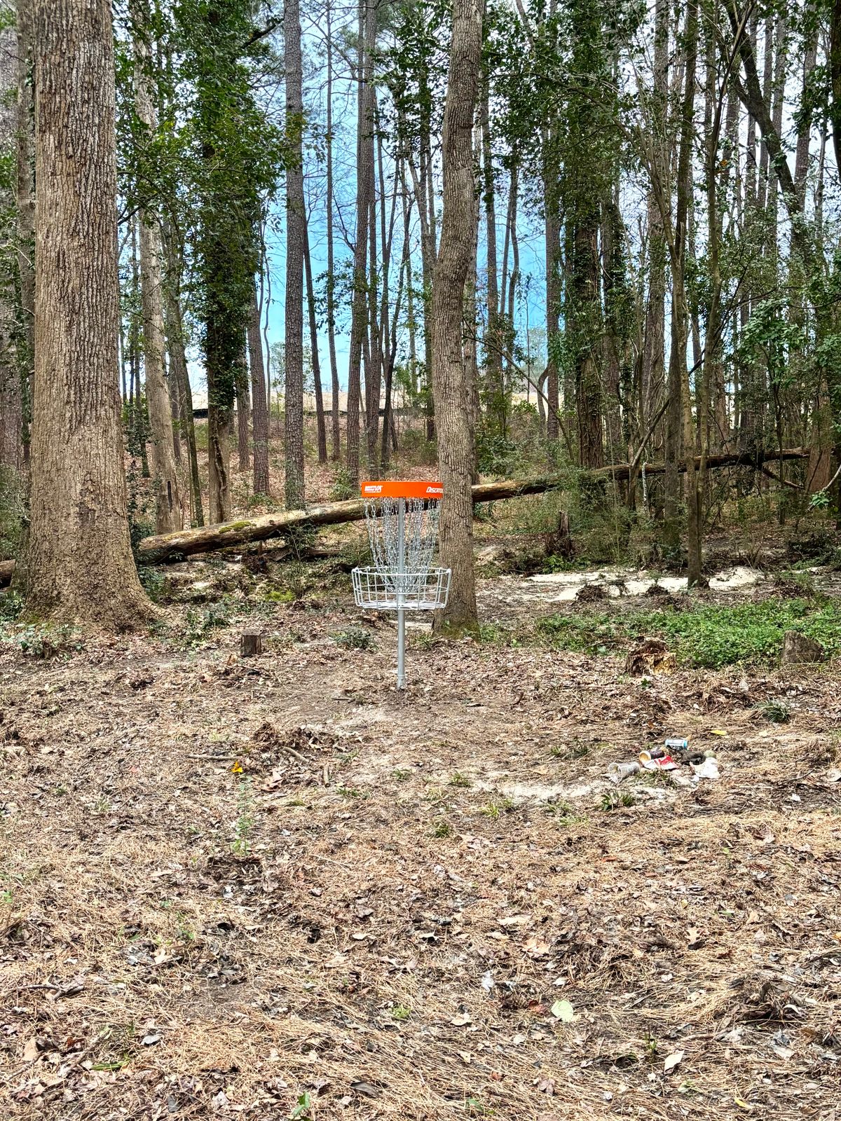 Hole 11 Basket