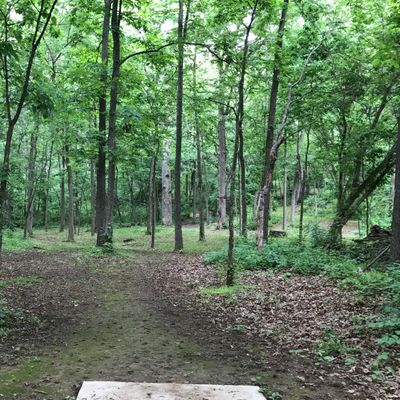 Hole 9