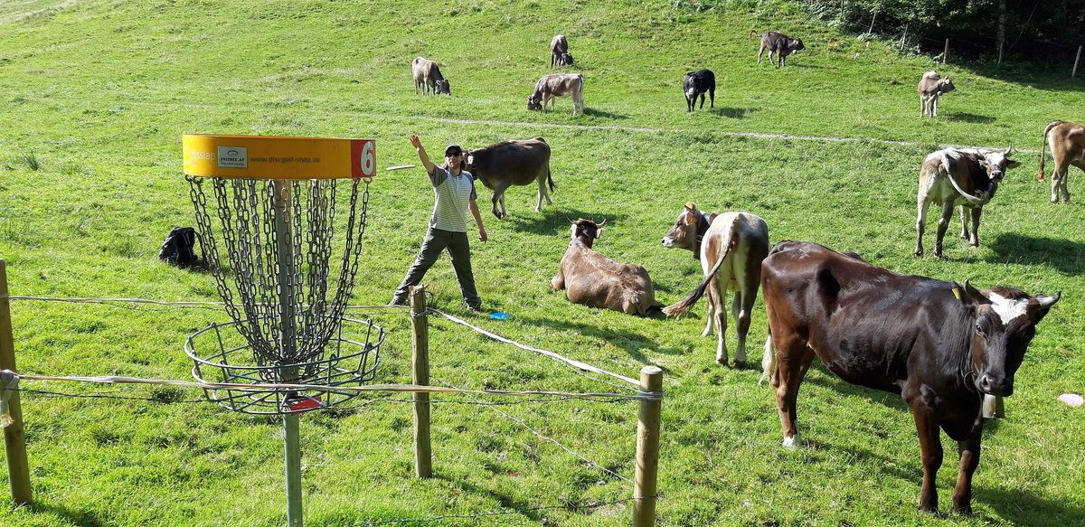 Playing between the ever so friendly grass cutting crew!