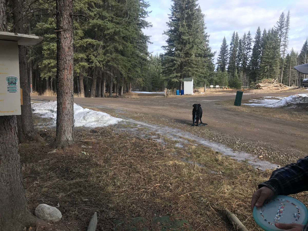 Hole 1: looking down towards the hole from the tee pad