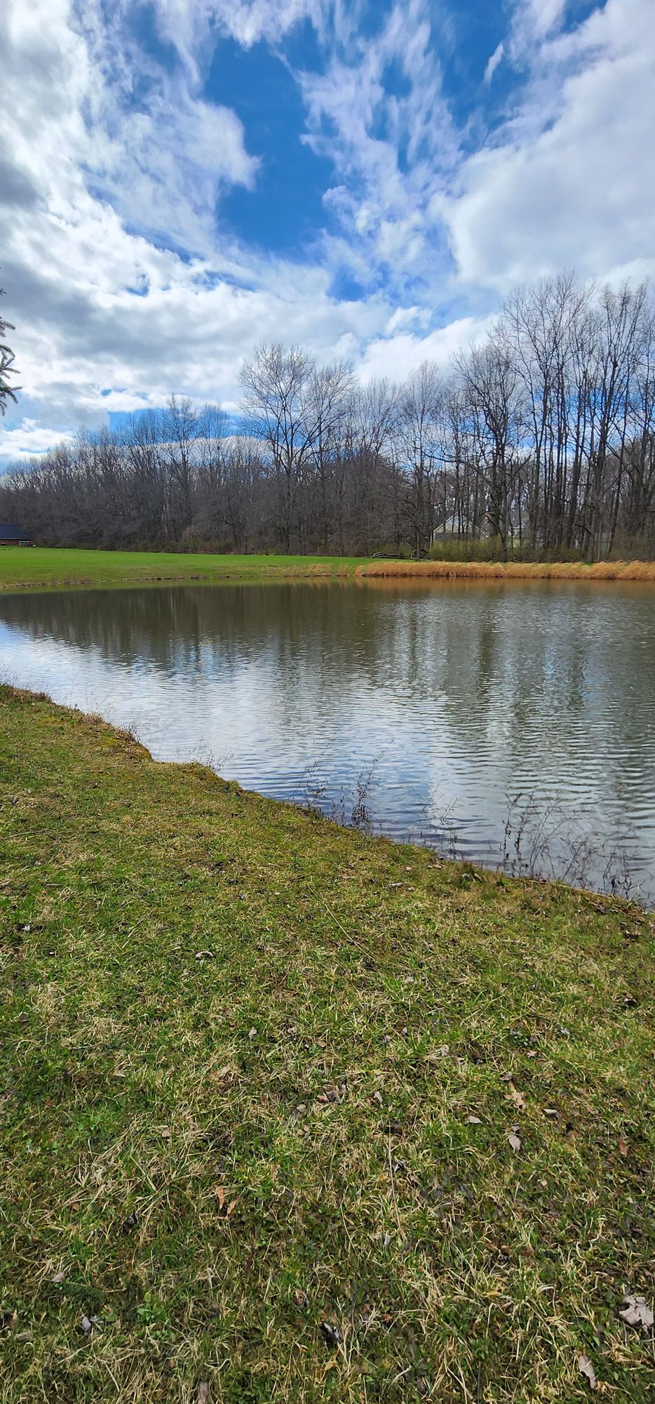 Hole 6 tee pad