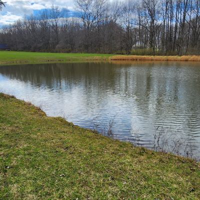 Hole 6 tee pad