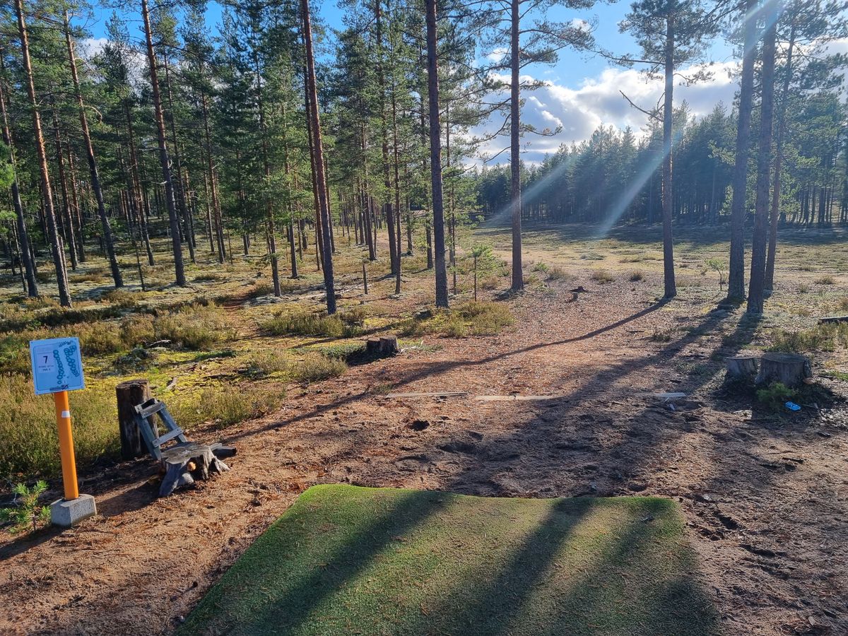 Väylä 7, puiden välistä loivasti vasemmalle kohti mäkeä ja sieltä 250 metriä tiiltä dog leg oikealle