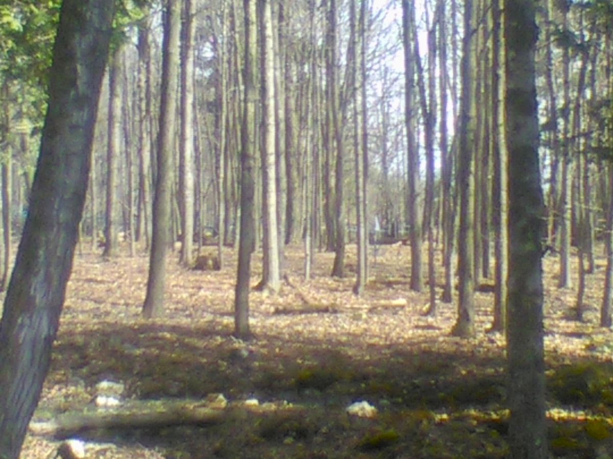 Hole 1