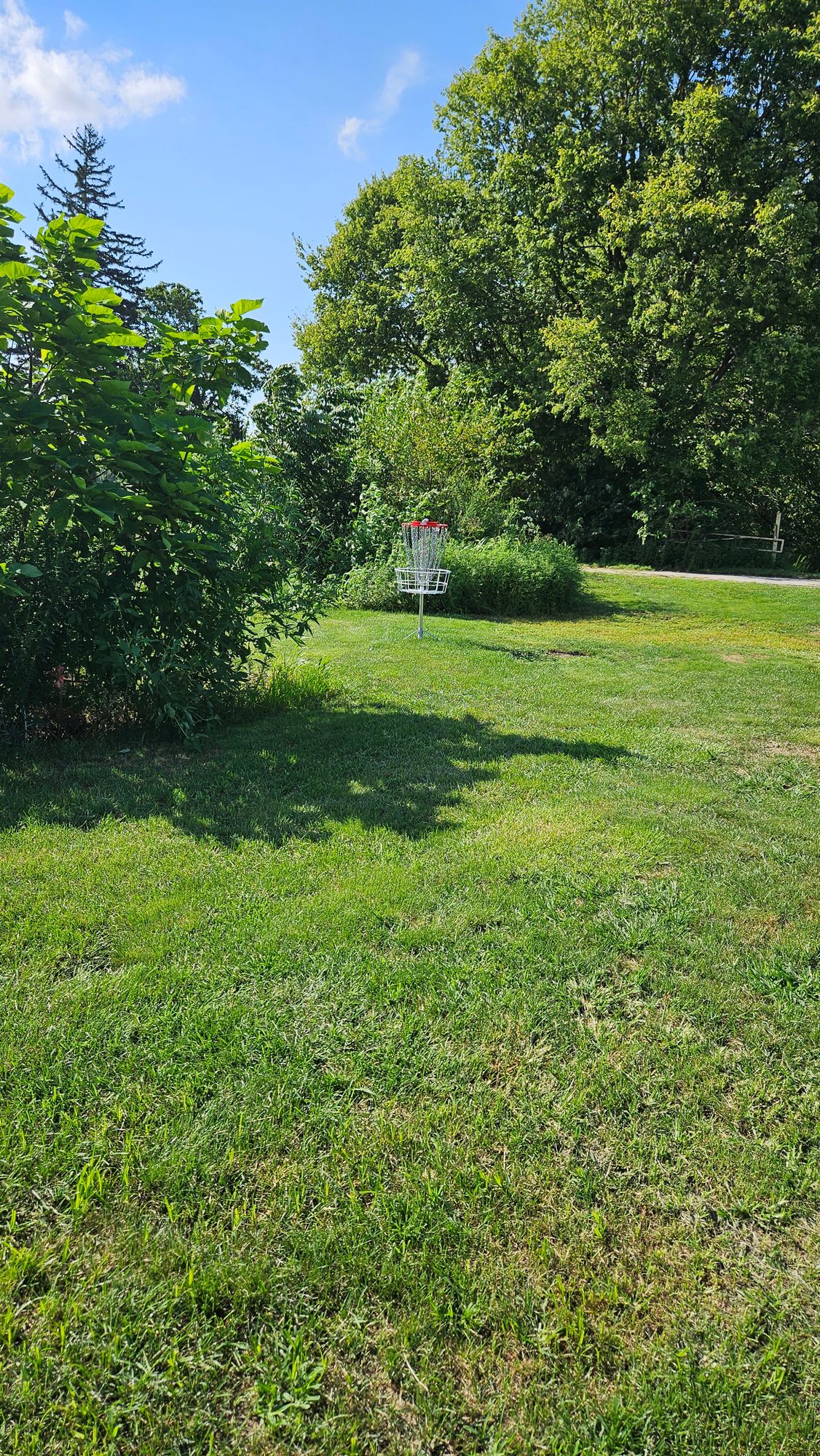 Hole 10 Basket