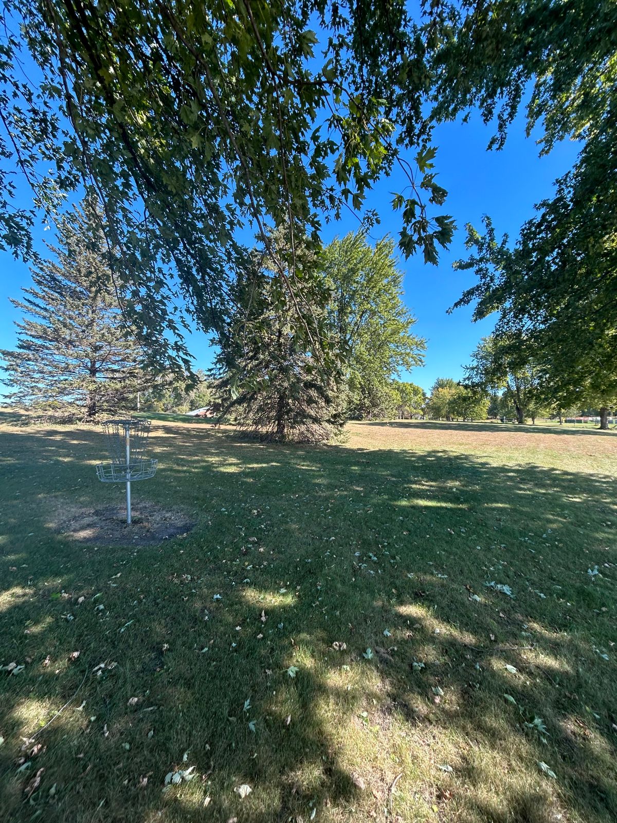 Hole 9 basket looking back toward the teepad