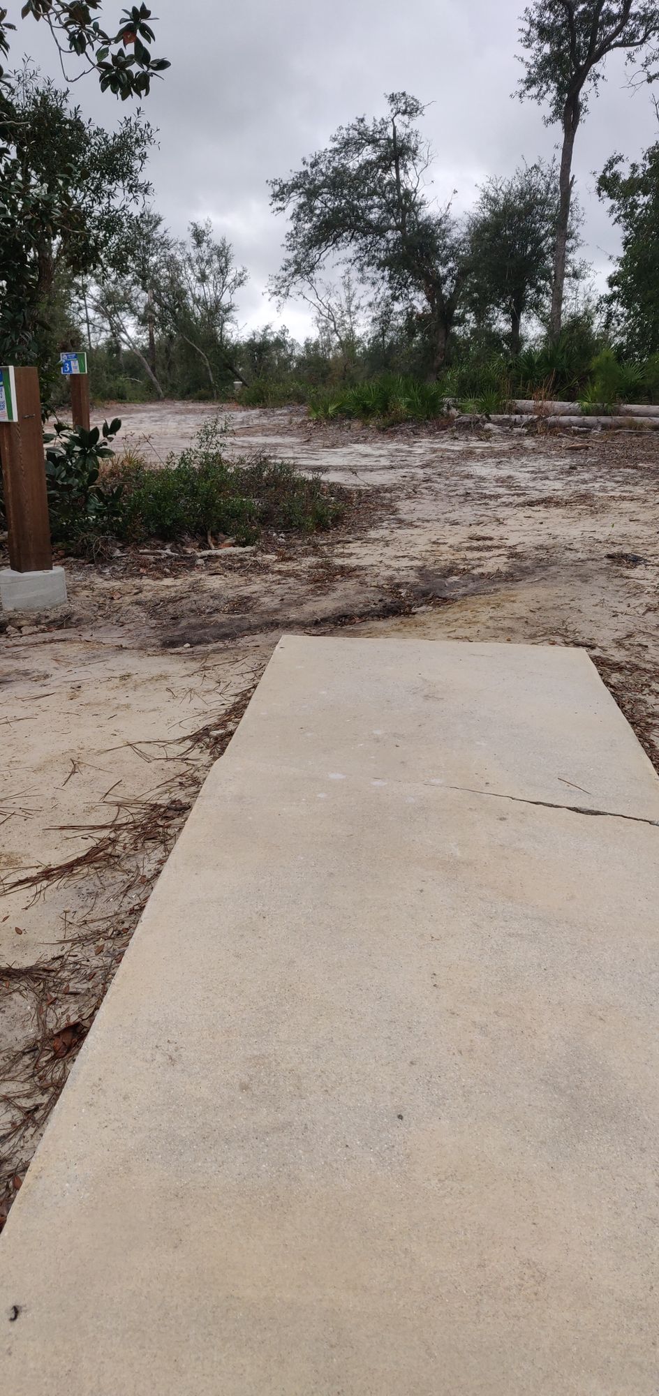 Hole 12 pad