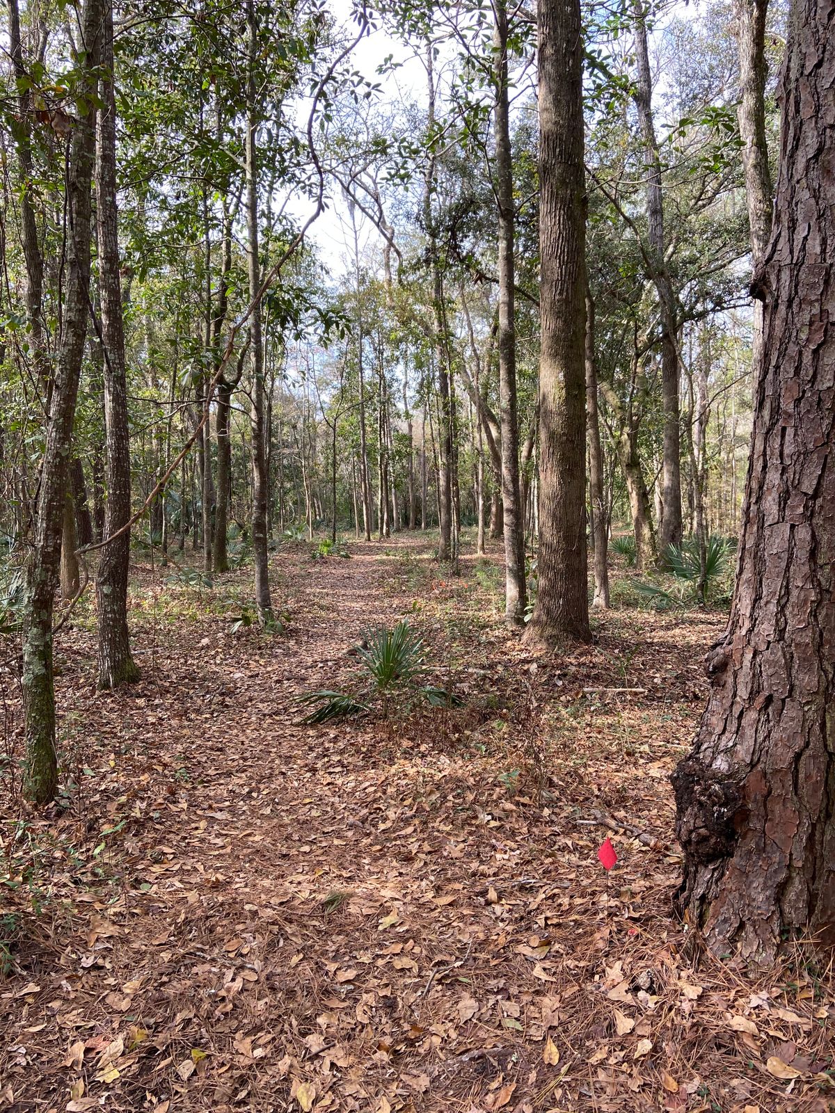 Hole 5