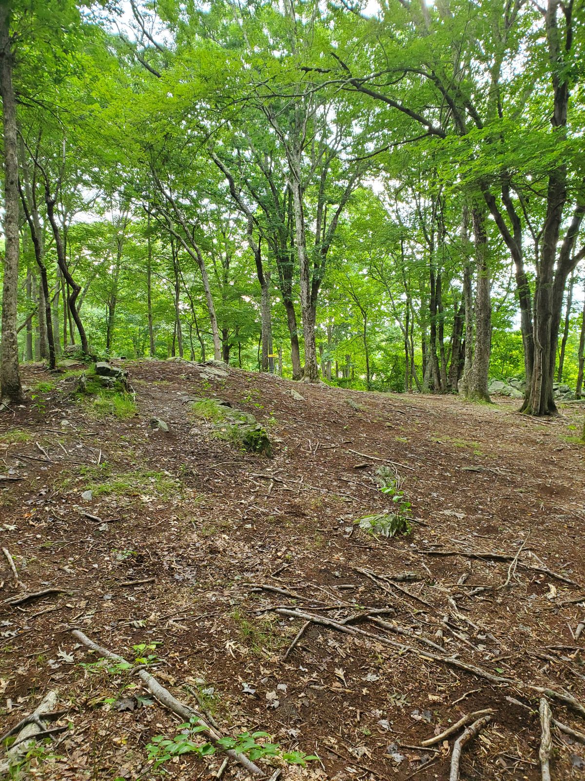 Hole 3.