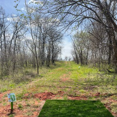 Hole 2 long tee to long basket