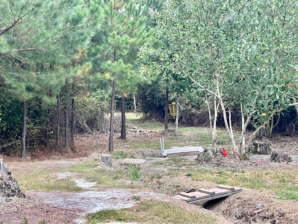 Hole 14 Basket