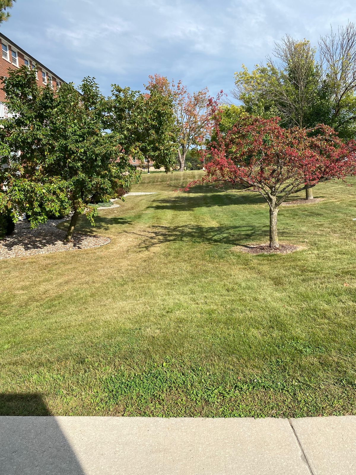 Hole 8 Tee - Basket is on the hill behind the trees on the right. On/over walking paths is OB.