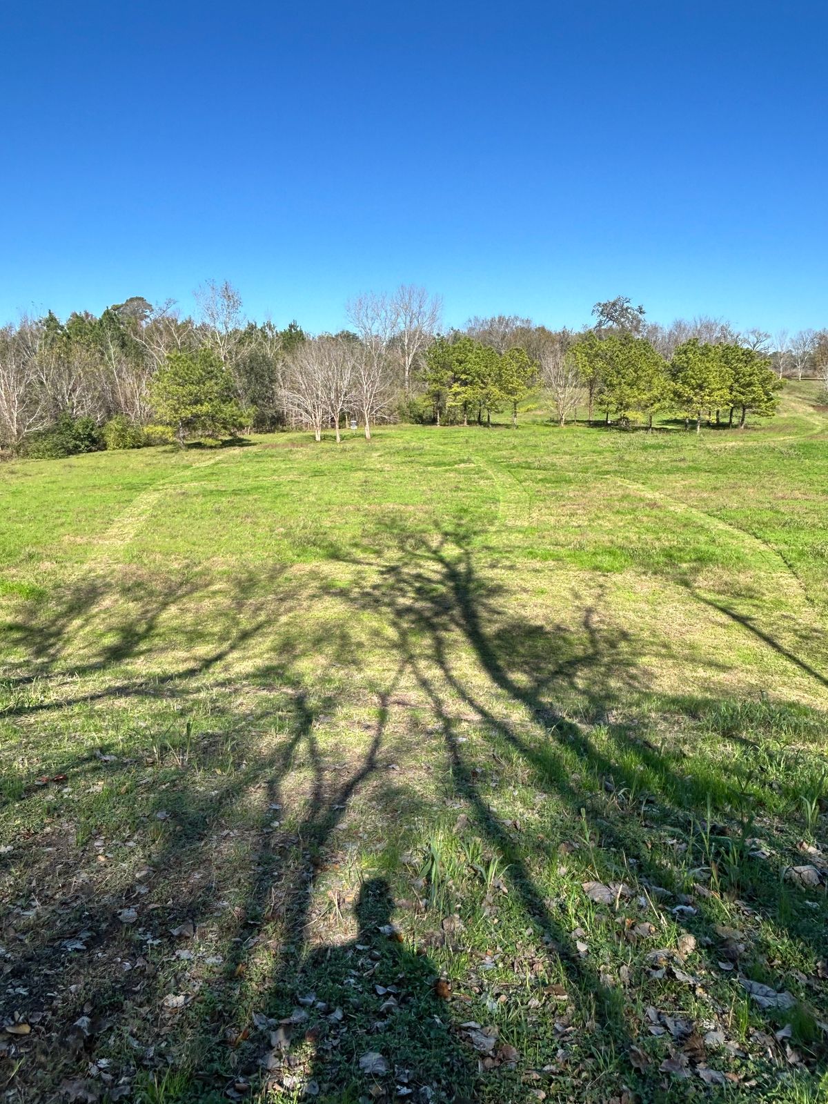 Hole 14