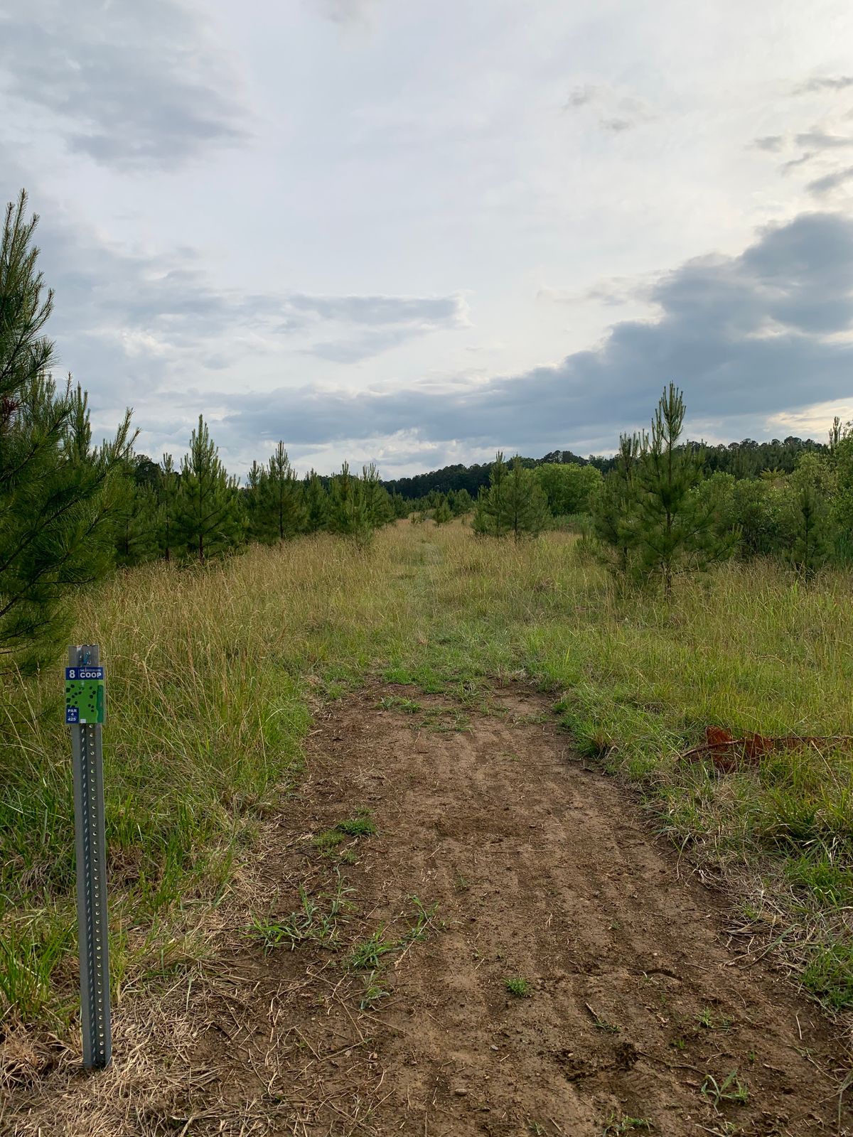 Hole 8