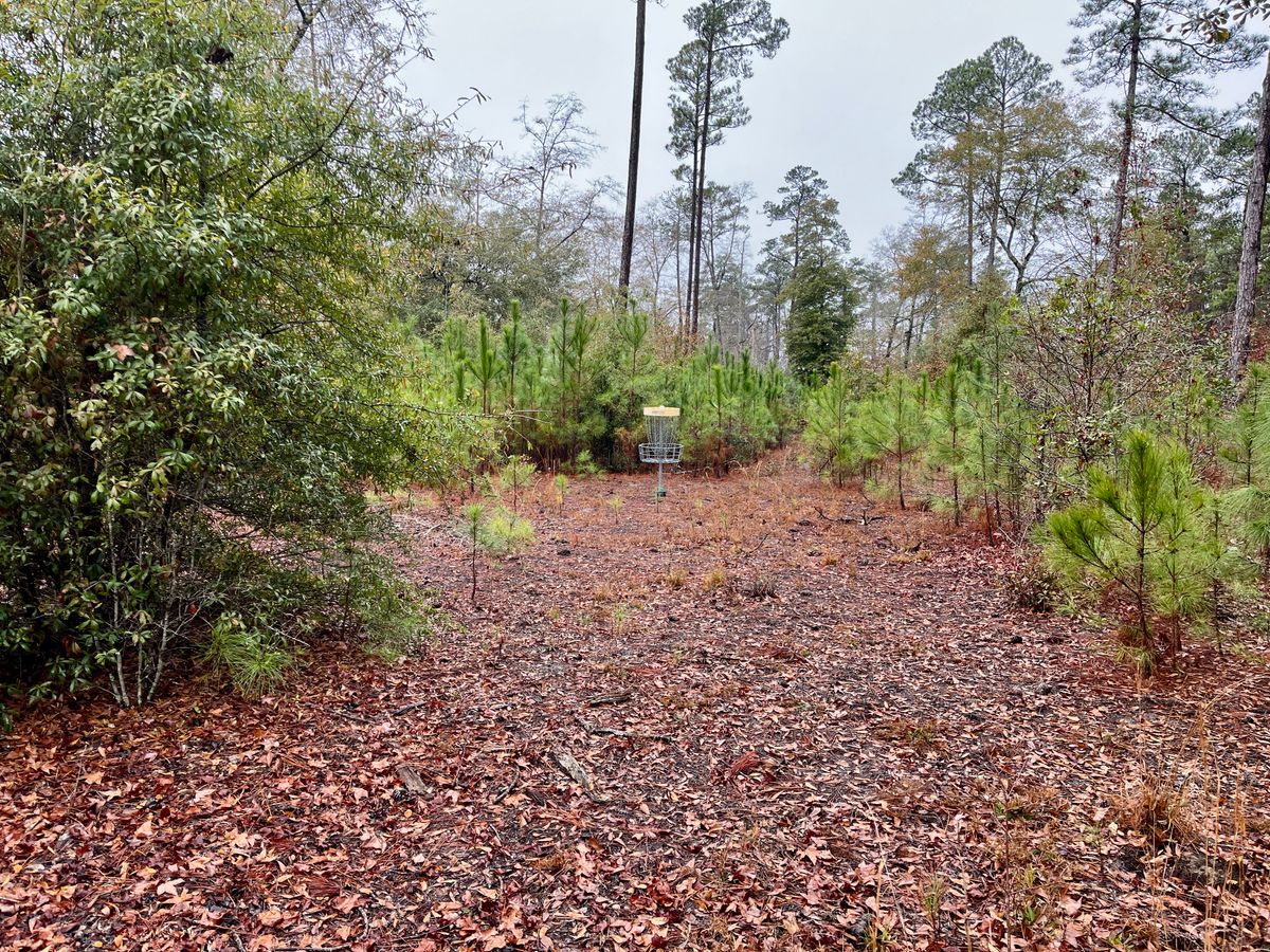 Hole 5 approach