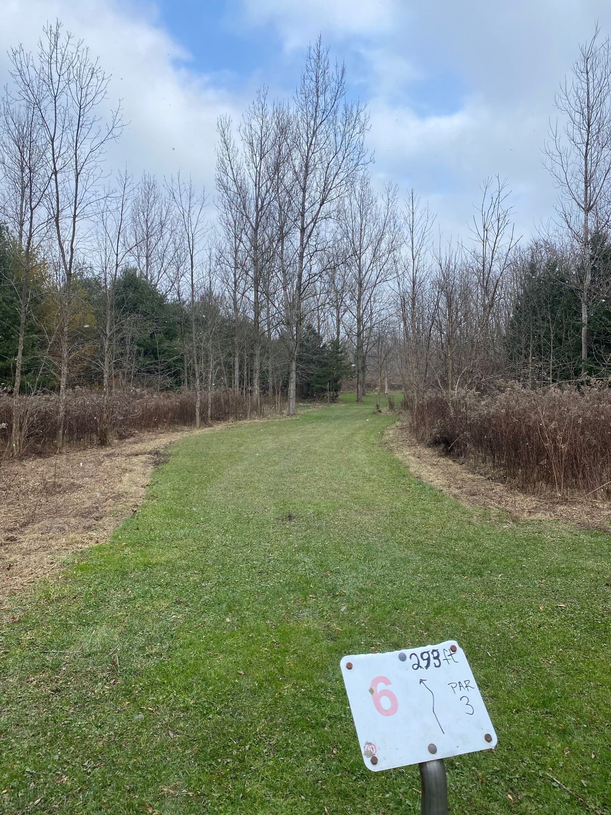 Hole 6 Red
