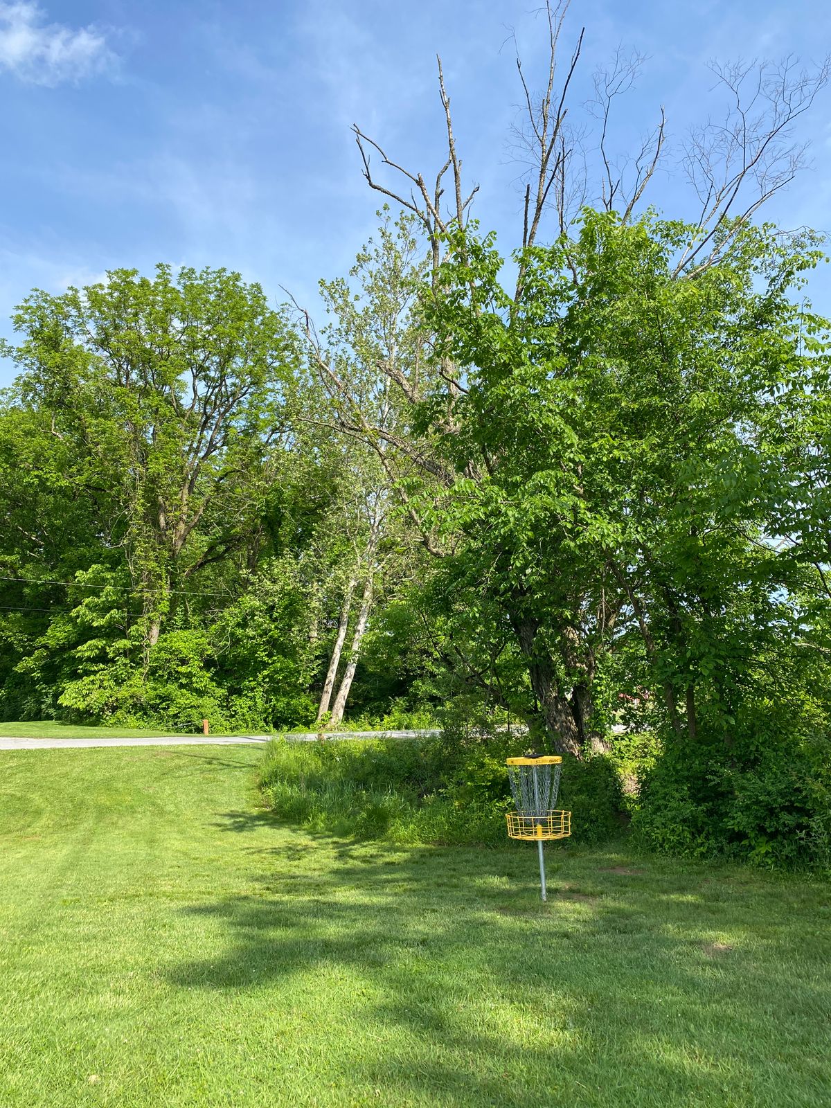 Hole 18 basket