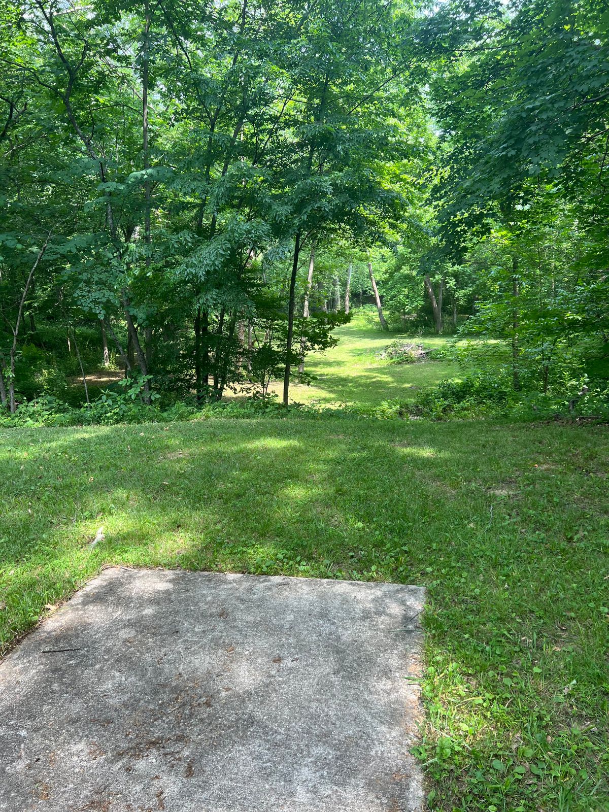 Hole 11, a fun, throw down the hill shot, short placement is to the left, long is more straight but on a peninsula with creek up the right side and around the back of the long basket. 