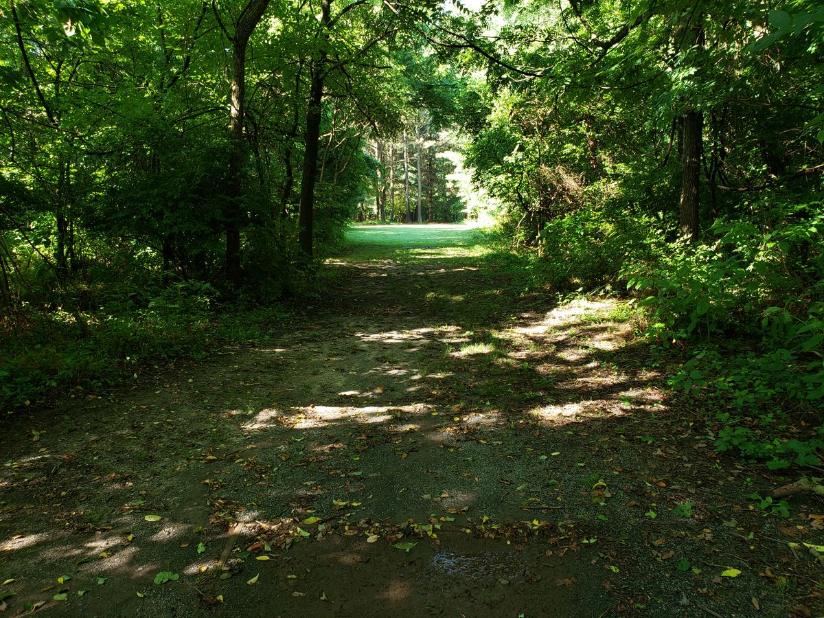 Hole 6 White Tee