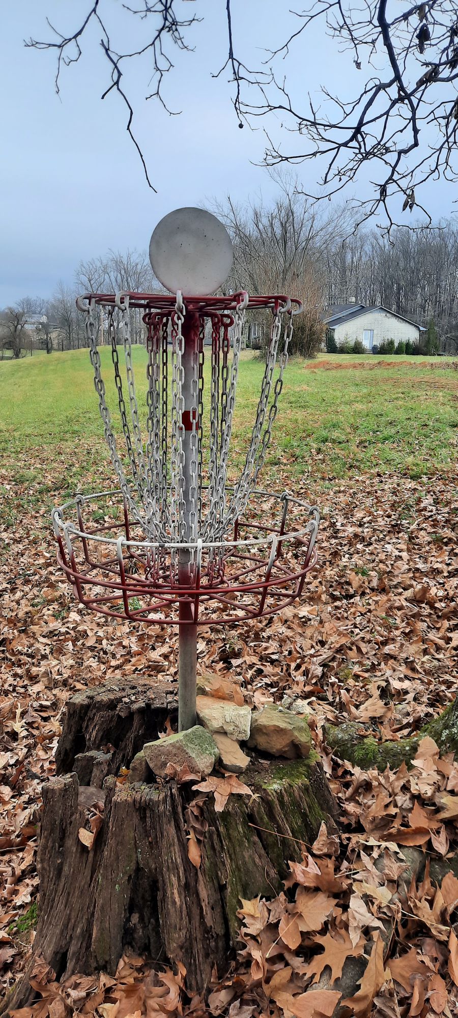 New mach 3 basket on 18 red apple