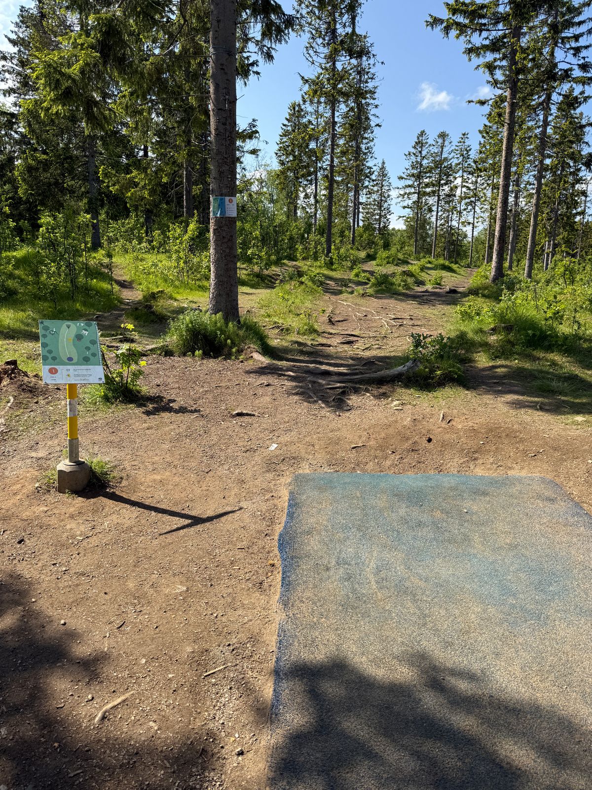 Hole 1 tee