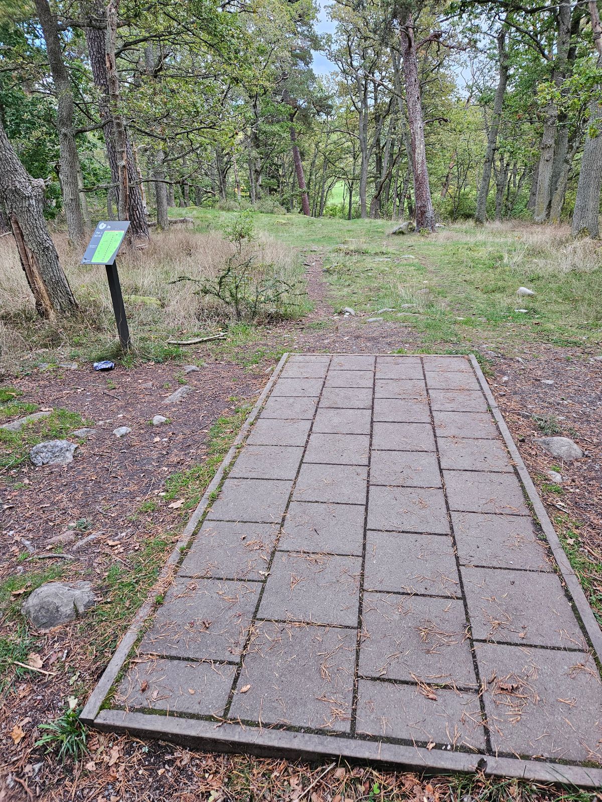 Tee 9