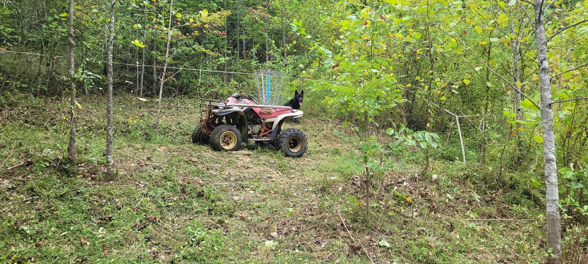 Hole 15s basket