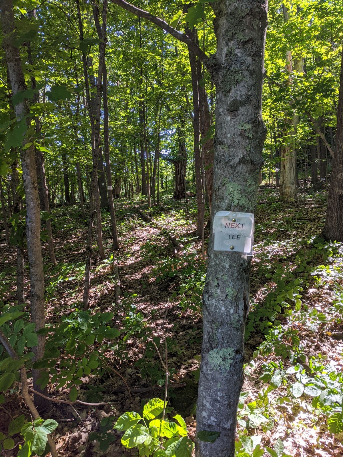 More signs like this would improve the course.