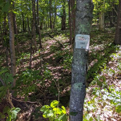 More signs like this would improve the course.