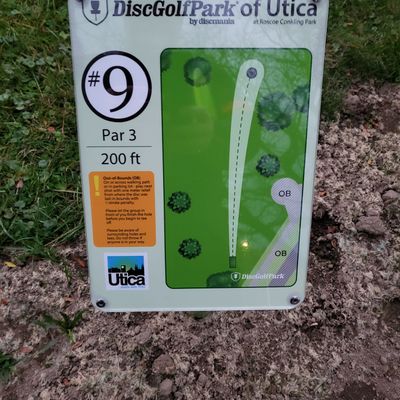 Get around the tree on 9