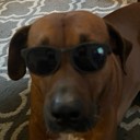 User avatar image