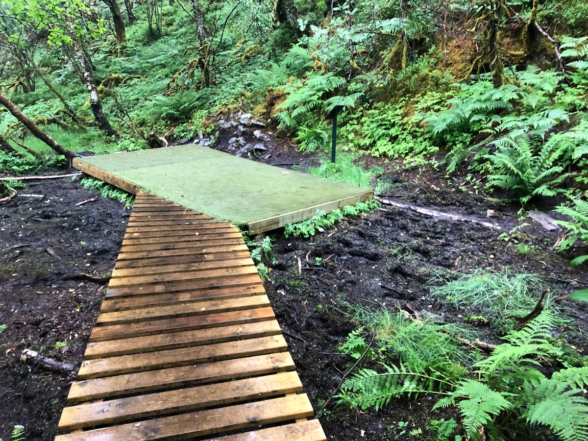 Tee pad Hole 4