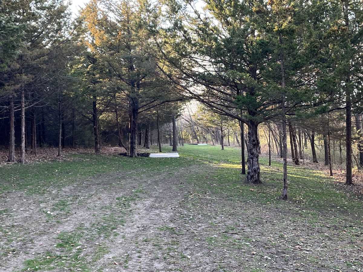 Hole 4 back towards tee