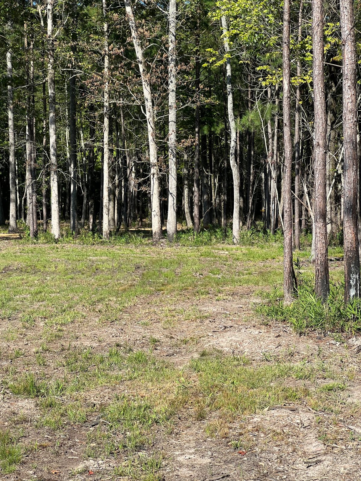 Hole 4