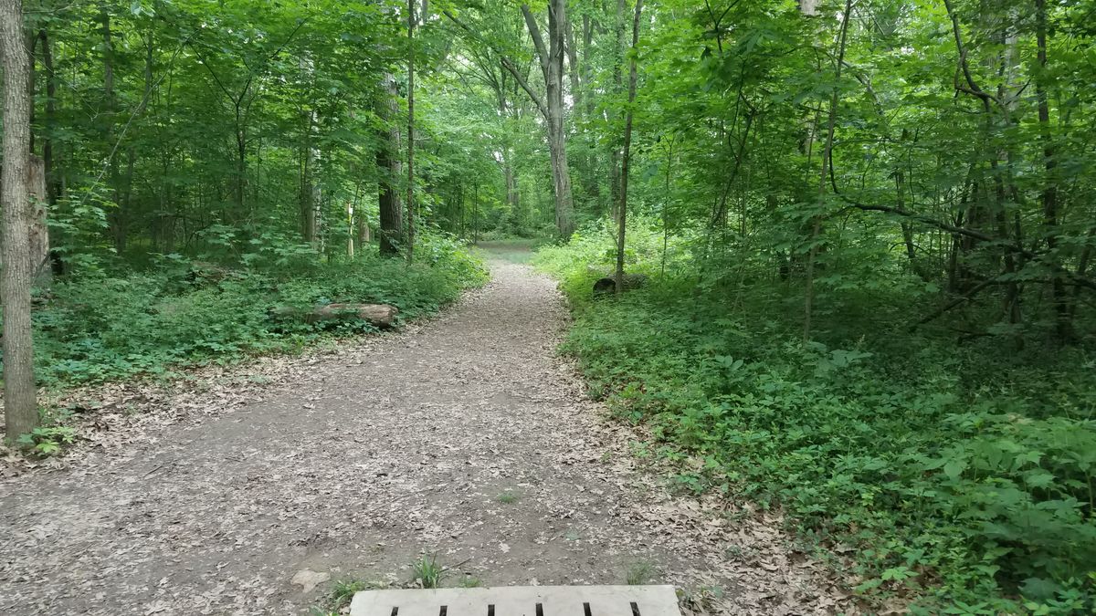 From the long tee.