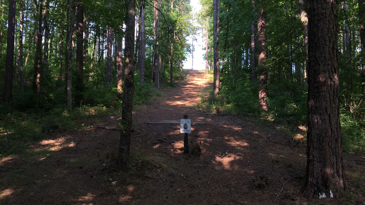 Hole 14